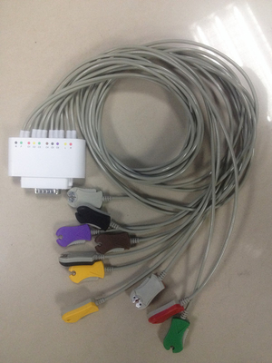 Cardiac Stress System Digital ECG Machine , ECG Diagnostic Test